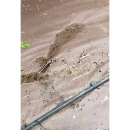 Ruda agrotekstilė 80g 320cm - kaina už metrą!