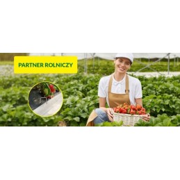 ⭐⭐Metaliniai kaiščiai agrotekstilės agrotekstilės geotekstilės inkarams 100vnt 15cm⭐⭐