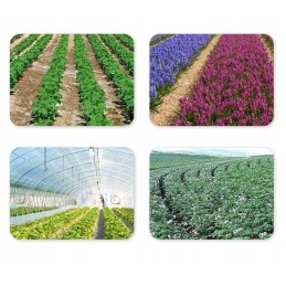 ⭐⭐Agrarinis audinys su skylutėmis, juoda folija, skylutės, daigai piktžolėms, 10m⭐⭐