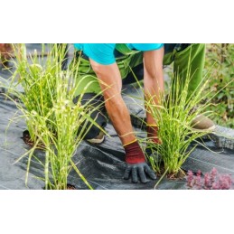 ⭐⭐Agrotekstilės tvirtas kilimėlis nuo piktžolių 1,6x10m 70g⭐⭐