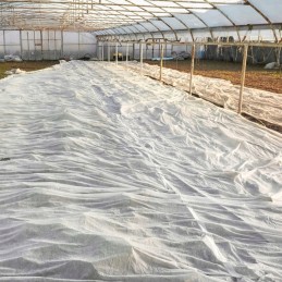 ⭐⭐smeigtukai agrotekstilei tvirtinti agrotekstilė inkariniai kaiščiai 50 vnt 15 cm⭐⭐