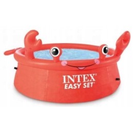 Baseino valymo rinkinys plovimui 26100np intex