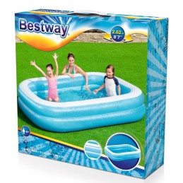 Baseinas 54006 sodo šeima 262x175x51cm bestway