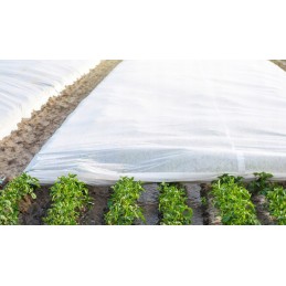 Agrowoven audinio danga balta spyruoklė UV 20g m2 1 6m x 100m