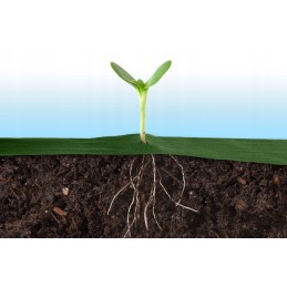 Plonos sodo agrotekstilė 1,6 m x 50 m + 100 smeigtukų