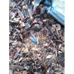 ✨ Agritella nuo piktžolių mulčiavimo agromedžiaga metrais