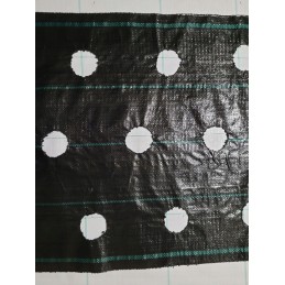 ⭐⭐Agrarinis audinys su skylutėmis sodinukams, 3 eilės, 110 cm pločio, daržovės, vaisiai⭐⭐