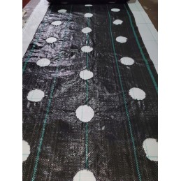 ⭐⭐Agrarinis audinys su skylutėmis sodinukams, 3 eilės, 110 cm pločio, daržovės, vaisiai⭐⭐