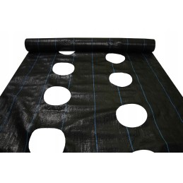 ⭐⭐Agrarinis audinys su skylutėmis sodinukams, 3 eilės, 110 cm pločio, daržovės, vaisiai⭐⭐