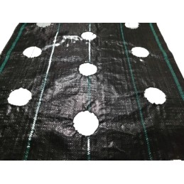 ⭐⭐Agrarinis audinys su skylutėmis sodinukams, 3 eilės, 110 cm pločio, daržovės, vaisiai⭐⭐