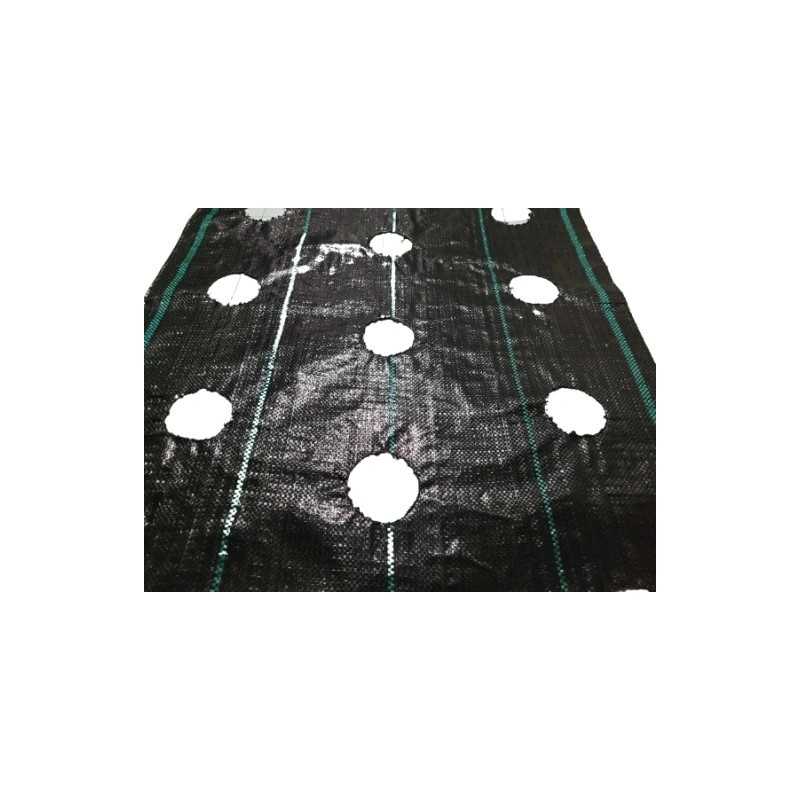 ⭐⭐Agrarinis audinys su skylutėmis sodinukams, 3 eilės, 110 cm pločio, daržovės, vaisiai⭐⭐