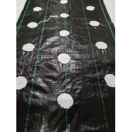 ⭐⭐Agrarinis audinys su skylutėmis sodinukams, 3 eilės, 110 cm pločio, daržovės, vaisiai⭐⭐