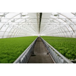 Žemės ūkio audinys, juodas, 1,1 x 50 m, 70 g/m2