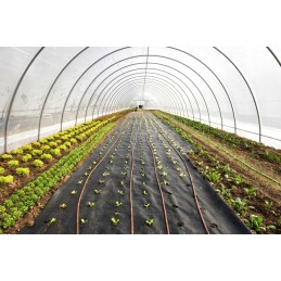 Žemės ūkio audinys, juodas, 1,1 x 50 m, 70 g/m2