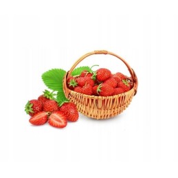 Premium juoda agrotekstilė uv90 + kaiščiai