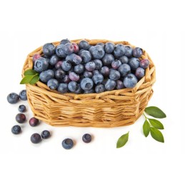 Premium juoda agrotekstilė uv90 + kaiščiai