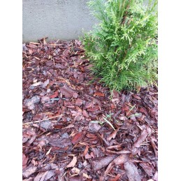 Poliesterio geotekstilė