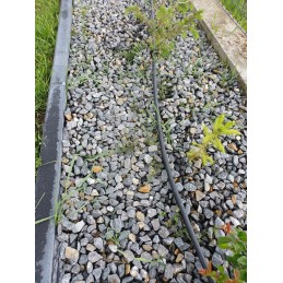 Poliesterio geotekstilė