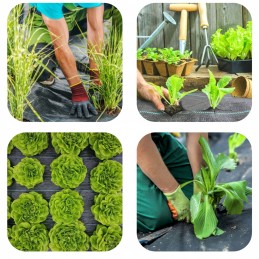 Agrotkanina agrotekstilės kilimėlis 70g 0,8x 50m