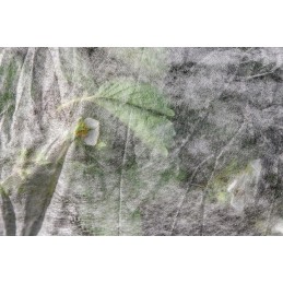 ⭐⭐Spyruoklinė danga, kvėpuojanti, lengva augalams, agrotekstilė 3,2x20m⭐⭐