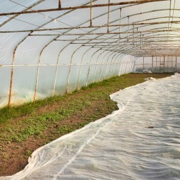 ⭐⭐Spyruoklinė danga, kvėpuojanti, lengva augalams, agrotekstilė 3,2x20m⭐⭐