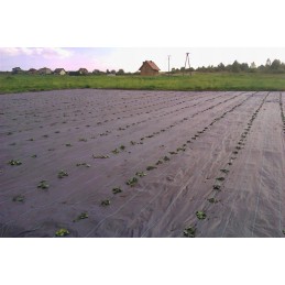 Plieniniai metaliniai kaiščiai agrotekstilei, agrotekstilei, kurmių tinkleliui ir kitiems tvirtinti - 500 vnt.