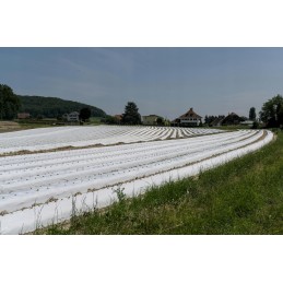 Agrowwoven audinys 21g 1 6x100 baltas