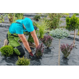 Kas yra cultivo geotekstilė?