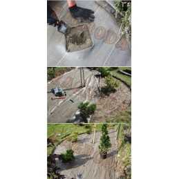 Stipri juoda agrotekstilė 100g/m2 40cm/m piktžolėms