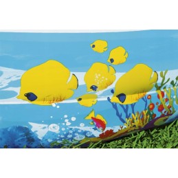 Šeimos pripučiamas baseinas, koralinis rifas, 262 cm x