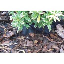 Juoda agrotekstilė, 80 cm pločio - 1 linijinis metras