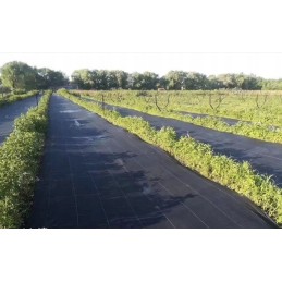 ⭐⭐Juodas agrotekstilės 80x5000 cm kilimėlis nuo piktžolių⭐⭐