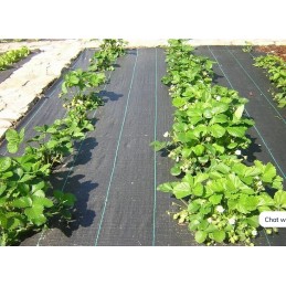 ⭐⭐Juodas agrotekstilės 80x5000 cm kilimėlis nuo piktžolių⭐⭐