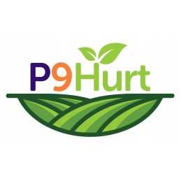 Apsauginis gaubtas agrotekstilė p50 (UV) 80x60 cm