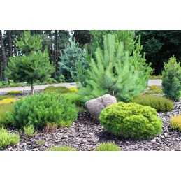 Juoda agrotekstilė, 80 cm pločio - 1 linijinis metras