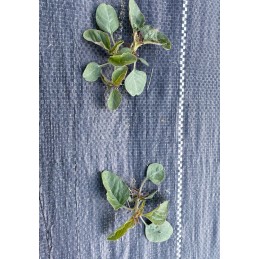 ✨Agritella mulčiuojantis agroaudinis nuo piktžolių