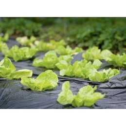 Mulčiavimo folija 0,95x10mb uv2 2-sezonas 3/o