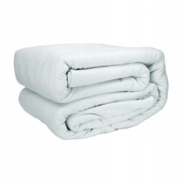 Bestway 56401 rėmo baseinas, stačiakampis, 221x150x43cm