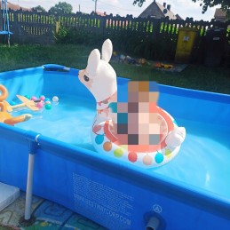 Bestway 56401 rėmo baseinas, stačiakampis, 221x150x43cm