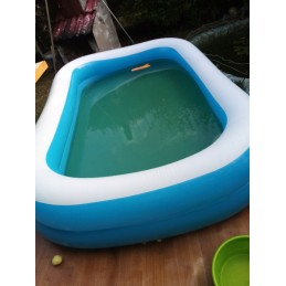 Šeimos pripučiamas baseinas 262 x 175 x 51 cm bestway