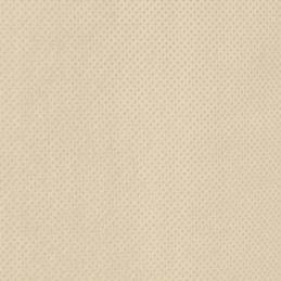 Vidaxl augalų apsauginis gobtuvas su užtrauktuku 70 g m2 2 36x2 m