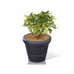 Dengiamoji geotekstilė (žiema-pavasaris) parko kokosinis kilimėlis 37 cm