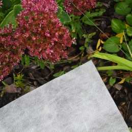 Žieminė agrotekstilė 50g 1,6x5m apsauga