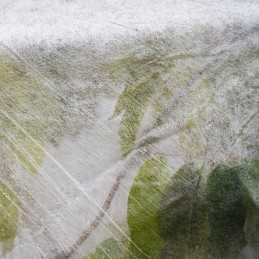 Žieminė agrotekstilė 50g 1,6x5m apsauga