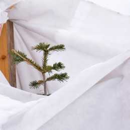 Žieminė agrotekstilė 50g 1,6x5m apsauga