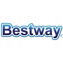 Bestway termometro baseino valymo rinkinys