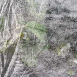 Balta pavasarinė agrotekstilė 17g - 2,1 x 5 m agrospeed