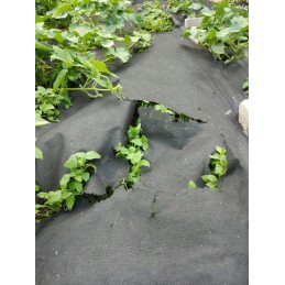 Agrowwoven 50g juoda 3 2m x10m piktžolių naikinimas