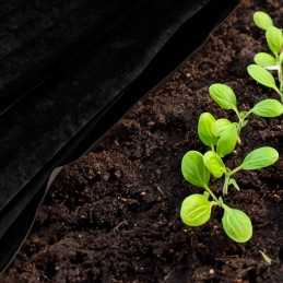 Juoda nuo piktžolių agrotekstilė 50g/m2