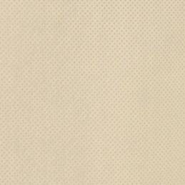 Vidaxl augalų apsaugos gaubtai, užtrauktukas, 2 vnt., 70 g/m² 1,55x1,55 m